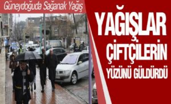 Siverek'te Yağışlar Çiftçileri Sevindirdi