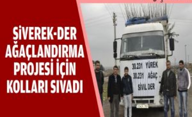 Siverek-Der Ağaçlandırma Projesi İçin Kolları Sıvıyor