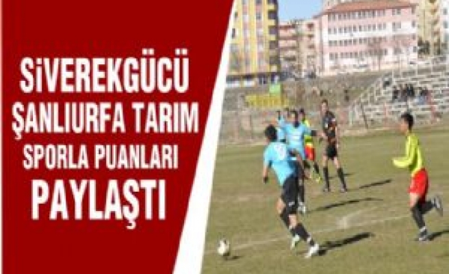 Siverekgücü Tarım Sporla Puanları Paylaştı