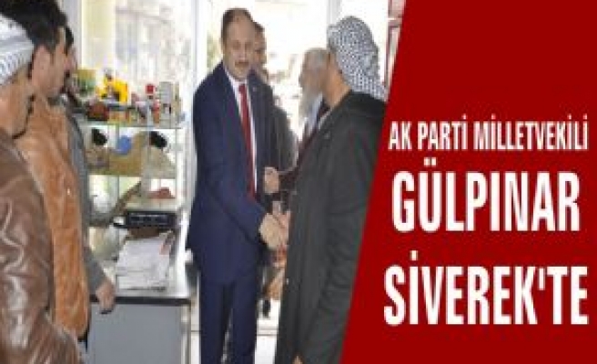 Ak Parti Milletvekili Gülpınar Siverek'te