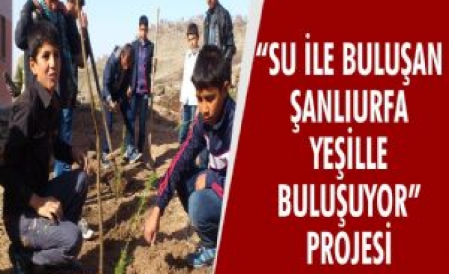 'Su İle Buluşan Şanlıurfa Yeşille Buluşuyor' Projesi