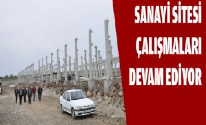 Sanayi Sitesi Çalışmaları Devam Ediyor