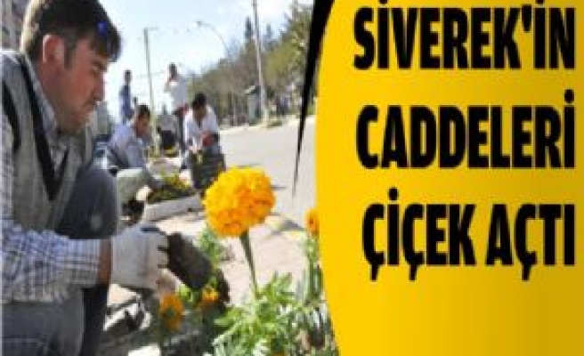 Siverek'in Caddeleri Çiçek Açtı 