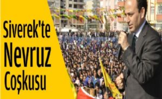 Siverek'te Nevruz Coşkusu 