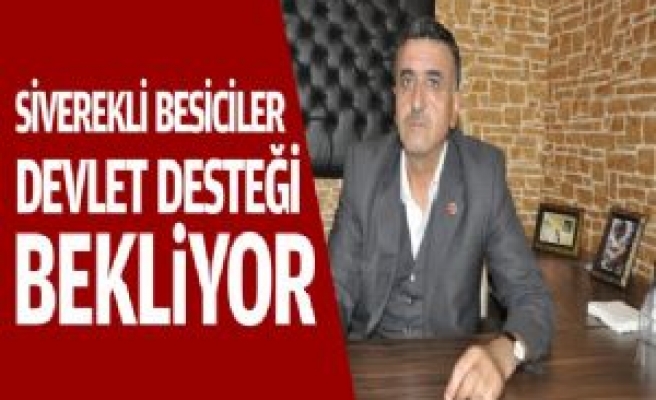 Siverekli Besiciler Devlet Desteği Bekliyor 