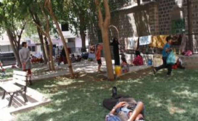 Suriye'li Aieller Parkta Yaşam Mücadelesi Veriyor