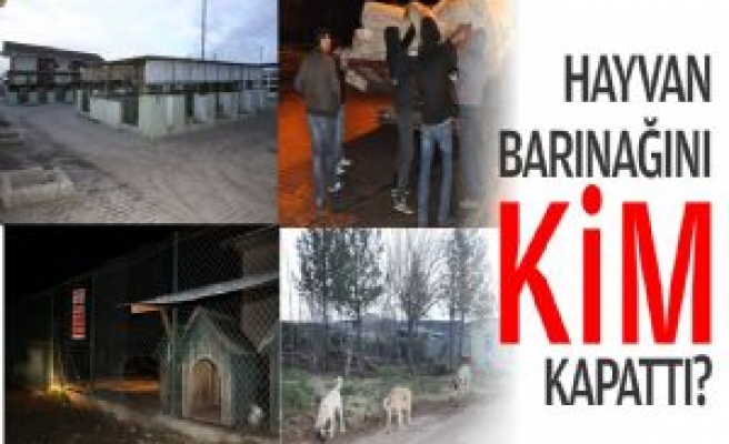 Hayvan Barınağını Kim Kapattı?