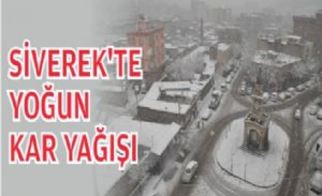 Siverek'te Yoğun Kar Yağışı