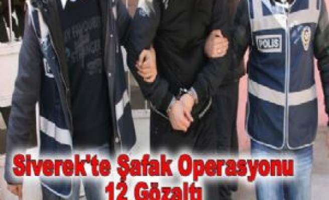 Siverek'te Işid Operasyonu 12 Gözaltı