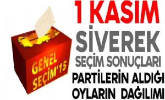 Siverek'te Resmi Seçim Sonuçları