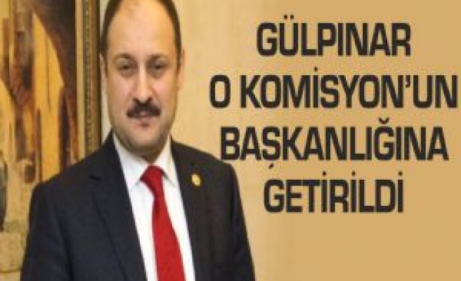 AB Komisyonunda Gülpınar Dönemi