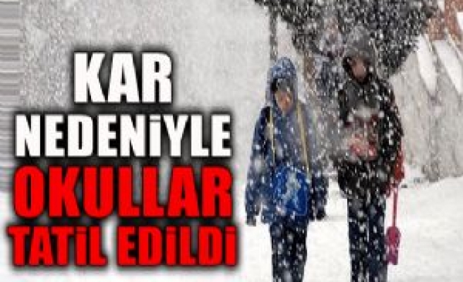 Siverek'te 40 Okula Kar Tatili