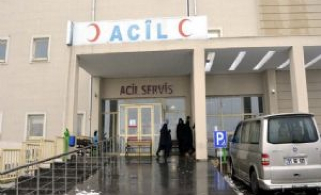 Siverek'te 'domuz gribi' şüphesi