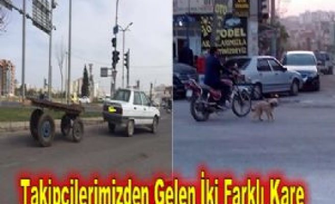 Takipçilerimizden Gelen İlginç Kareler