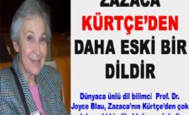 Zazaca Kürtçe'den çok daha eski bir dil