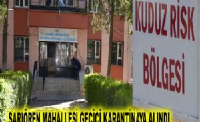 Kuduz şüphesi bulunan mahalle geçici karantinaya alındı