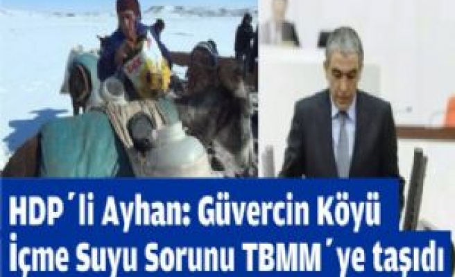 HDP'li Ayhan: Güvercin Köyü'nün Su Sorununu TBMM'ye Taşıdı