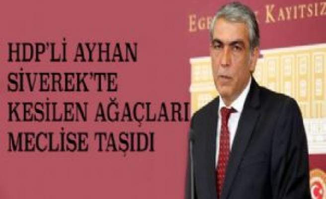 HDP'li Ayhan Siverek'te Kesilen Ağaçları Meclis Gündemine Taşıdı 