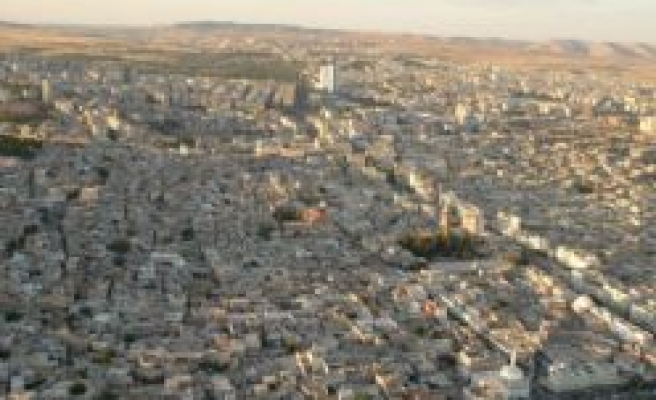 Şanlıurfa Endemik Bitkileri ve Önemli Hayvanları ile Tanışıyor