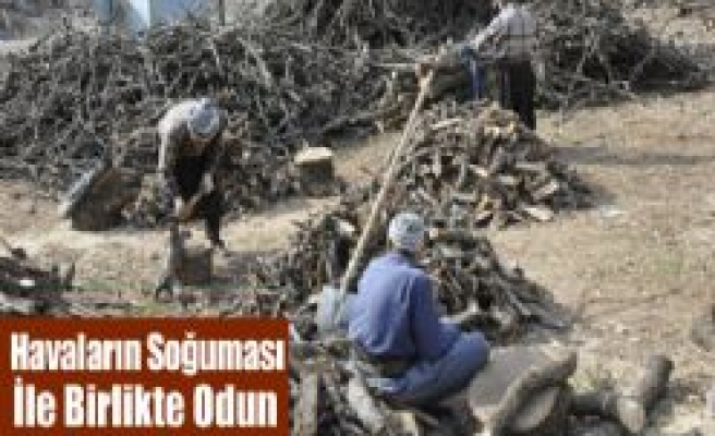 Havaların Soğuması İle Birlikte Odun Satışı Arttı