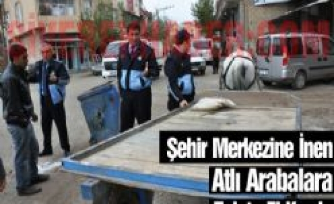 Şehir Merkezine İnen Atlı Arabalara Zabıta El Koydu