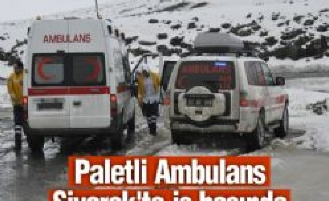 Paletli Ambulans Siverek'te İş Başında 