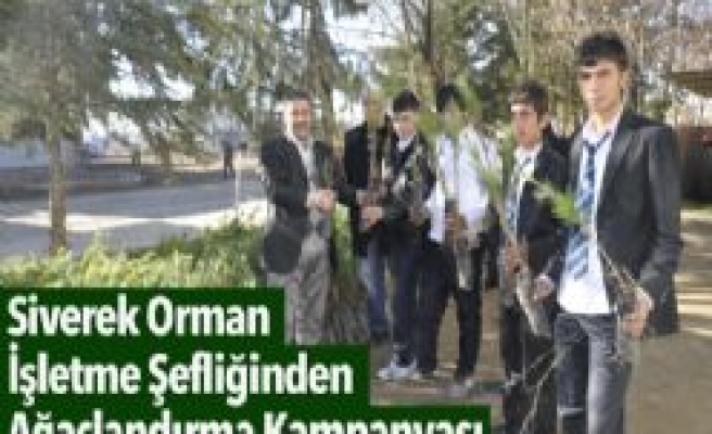 Siverek orman işletme şefliğinden ağaçlandırma kampanyası  