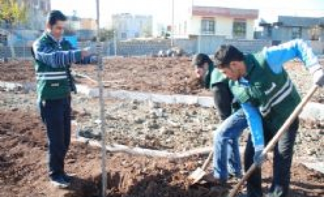 Siverek Belediyesinden Ağaçlandırma Çalışması