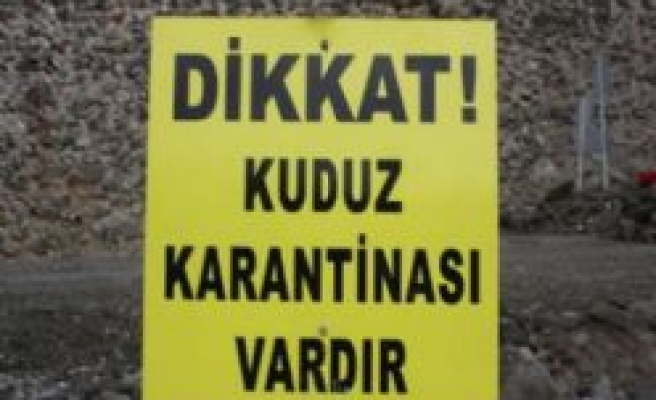 DİKKAT BU KÖYDE KUDUZ VAR