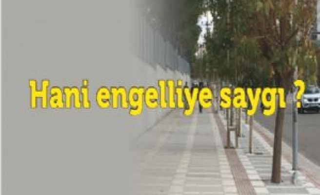 Hani engelliye saygı ?