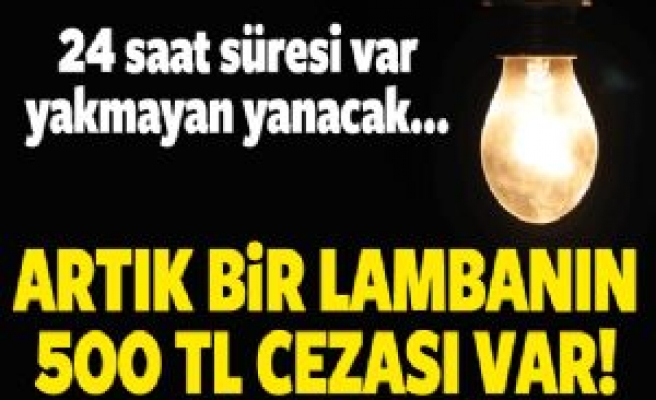 TEDAŞ Yandı! Yanmayan lambaya ceza Geliyor 