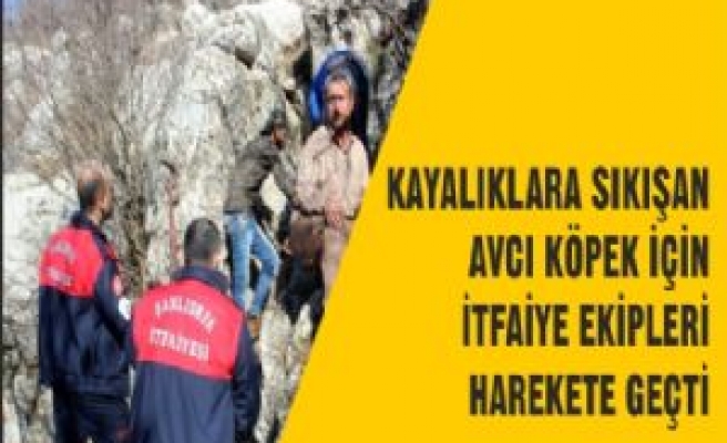 Kayalıklara Sıkışan Avcı Köpek İçin Seferber Oldular