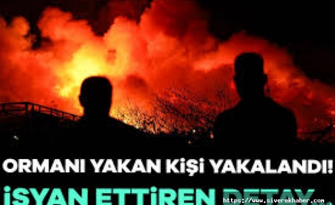 Bursa'daki yangında FETÖ şüphesi: Benzin bidonuyla yakalandı