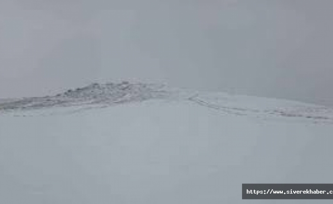 Karacadağ'da yoğun kar yağışı ve sis etkili oluyor