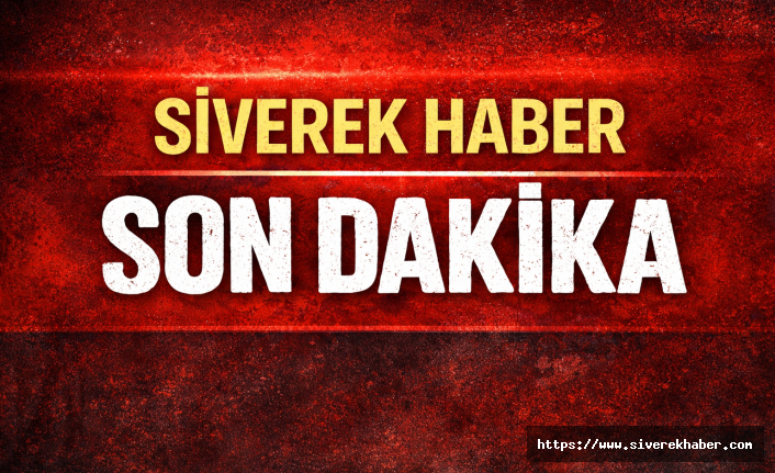 Ceylanpınar’da Tarihi Eser Operasyonu