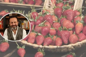 Uzman isimden çilek hakkında korkutan ikaz
