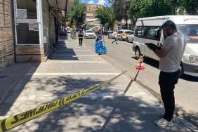 siverektekanlıkavga